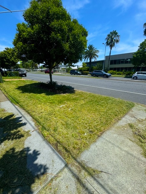 Completed Lawn Job